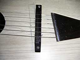 Danelectro Convertible bridge & tailpiece PICT9070.jpg